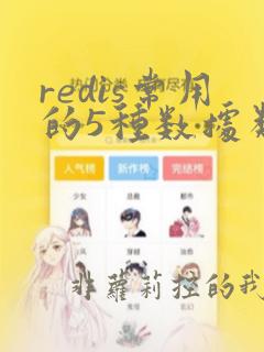 redis常用的5种数据类型