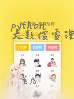 python 大数据处理
