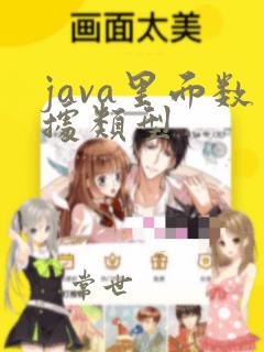 java里面数据类型