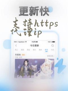 支持https代理ip