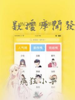 数据库开发编程
