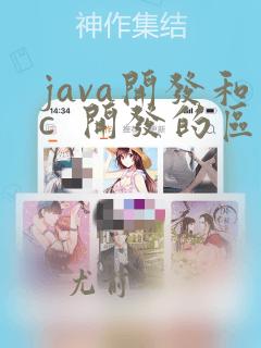 java开发和c  开发的区别