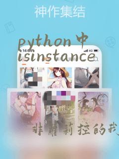 python中isinstance