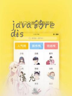 java的redis