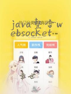 java整合websocket