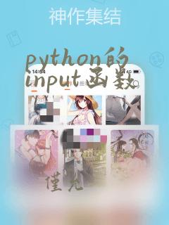 python的input函数