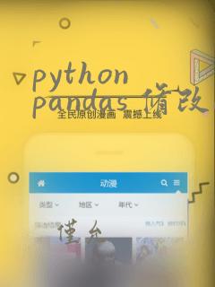 python pandas 修改excel