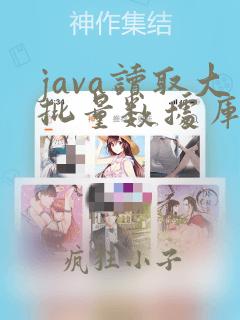 java读取大批量数据库数据