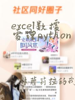excel数据处理python