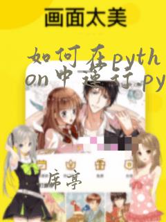 如何在python中运行.py文件