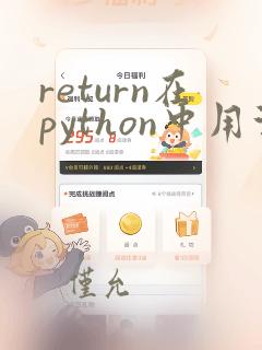 return在python中用法举例
