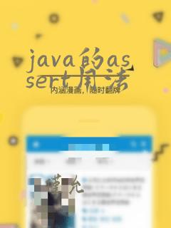 java的assert用法