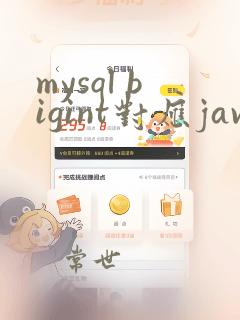 mysql bigint对应java什么类型