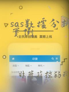 sas数据分析实例