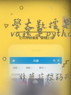 学大数据是java还是python