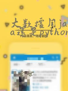 大数据用java还是python