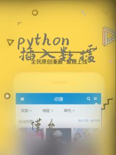 python 插入数据