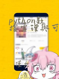 python数据处理与可视化