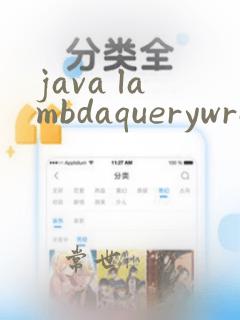 java lambdaquerywrapper