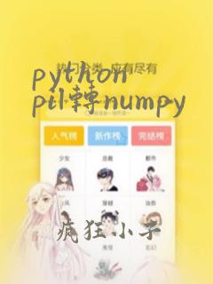 python pil转numpy