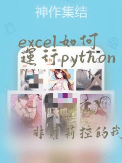 excel如何运行python
