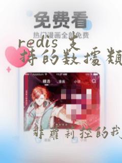redis 支持的数据类型