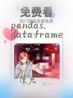 pandas.dataframe