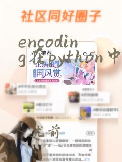 encoding在python中的含义