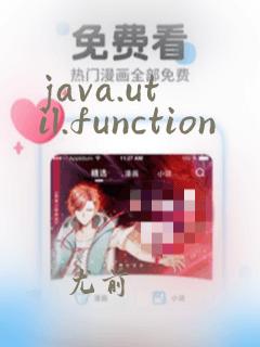 java.util.function