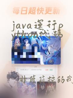 java运行python代码