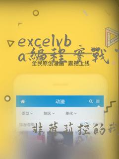 excelvba编程实战宝典