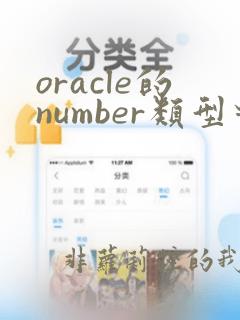 oracle的number类型对应java