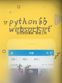 python的websocket