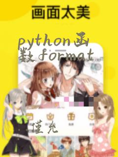 python函数format