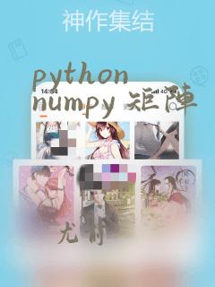 python numpy 矩阵