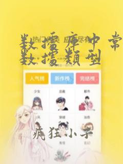 数据库中常用的数据类型