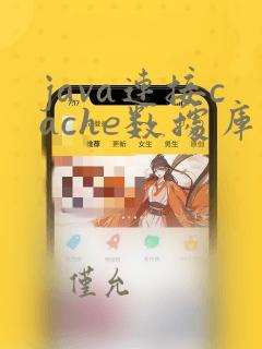 java连接cache数据库