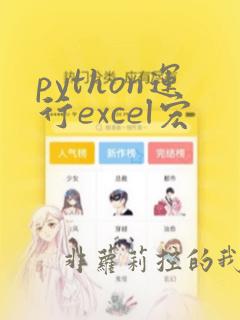 python运行excel宏