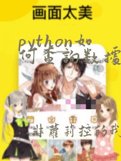 python如何查询数据类型