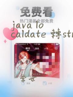 java localdate 转string