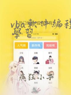 vba软件编程学习