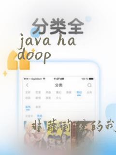 java hadoop
