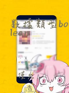 数据类型boolean
