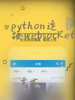 python连接websocket