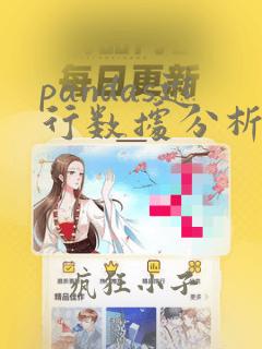 pandas进行数据分析