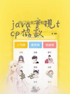java实现tcp协议