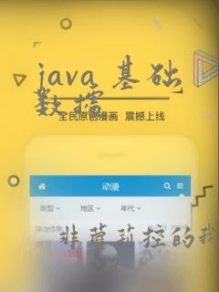 java 基础数据