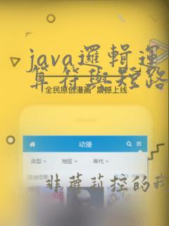 java逻辑运算符与短路运算符区别
