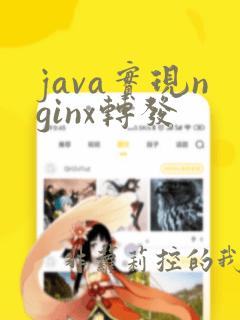java实现nginx转发