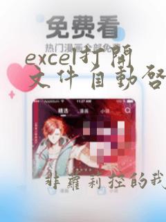 excel打开文件自动启用宏vba